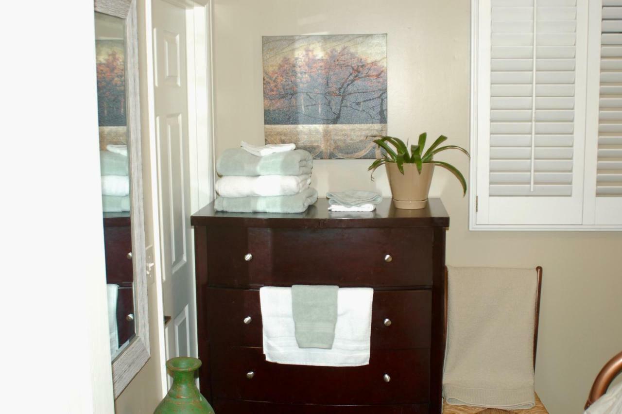 Blue Bear Den 3Br 2Ba Dtc Private Apt Hot Tub 外观 照片