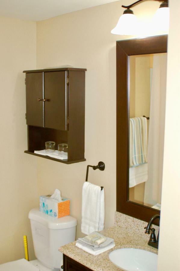Blue Bear Den 3Br 2Ba Dtc Private Apt Hot Tub 外观 照片