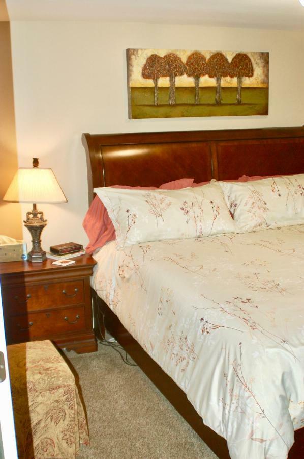 Blue Bear Den 3Br 2Ba Dtc Private Apt Hot Tub 外观 照片