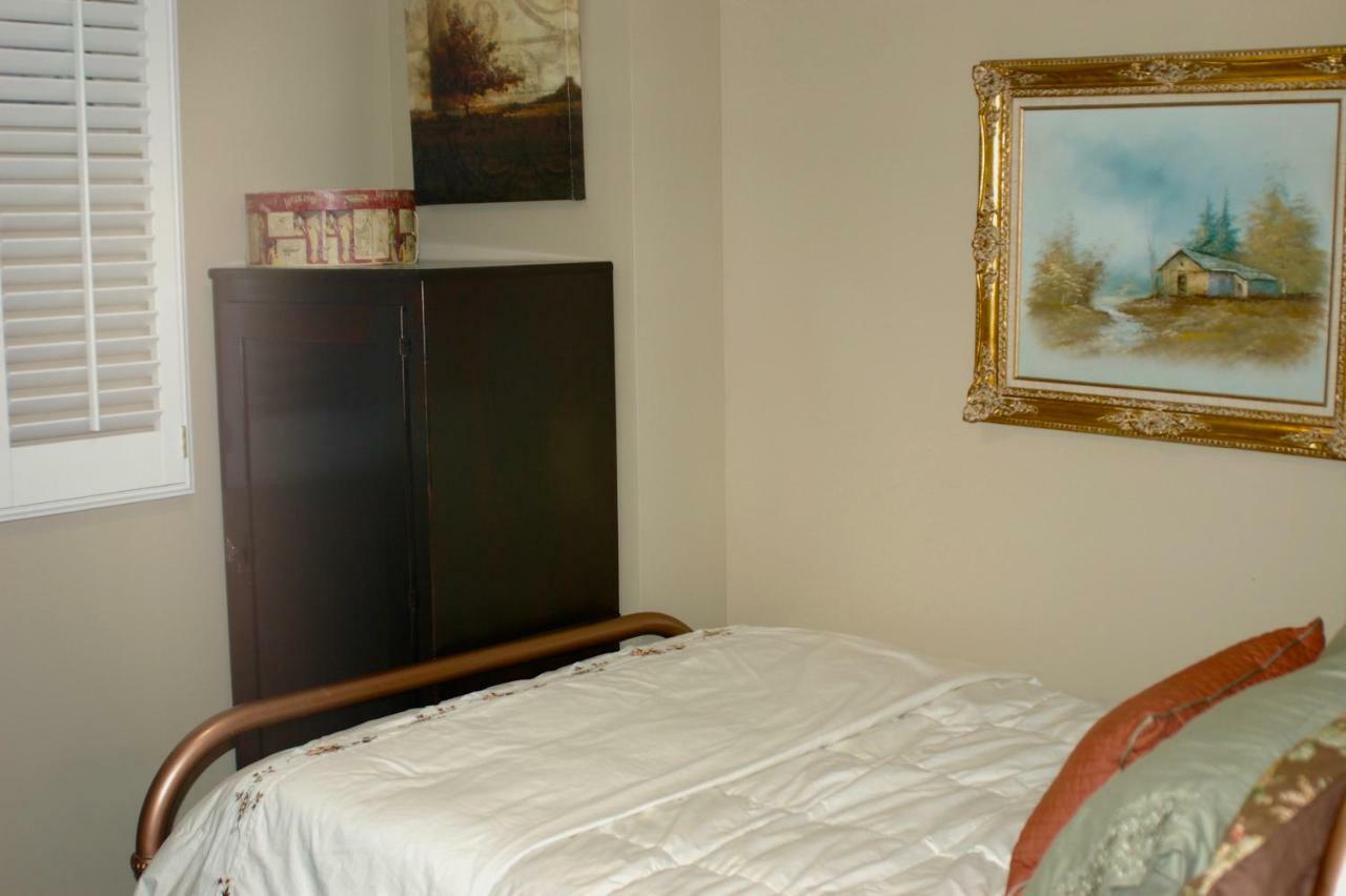 Blue Bear Den 3Br 2Ba Dtc Private Apt Hot Tub 外观 照片