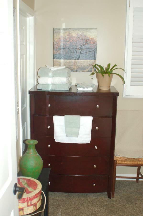 Blue Bear Den 3Br 2Ba Dtc Private Apt Hot Tub 外观 照片